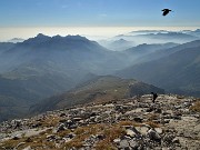 80 Volanao e 'gracchiano'  gracchi sopra le nostre teste 